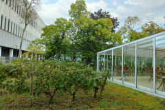 IMG20230917185501